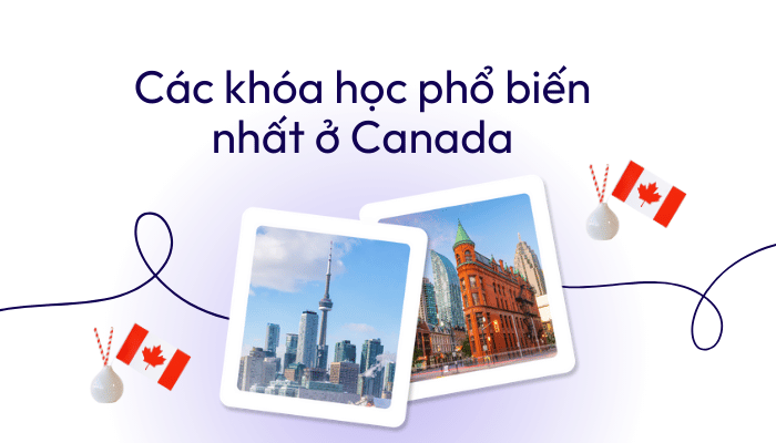 Các khóa học phổ biến nhất ở Canada